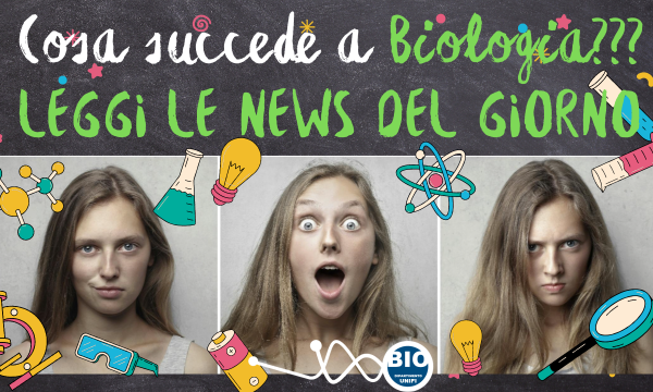 TUTTE LE NEWS.